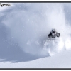 hr2010-rozzy-burrows-again-web