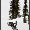 hr2010-tina-small-wheelie-web