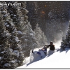 hr2010-travis-between-the-trees-web