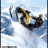 2011-bob-dixon-blurry-wheelie-web