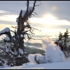 2011-julio-eiguren-hits-some-pow-web