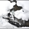2011-kim-carter-creek-04-web
