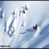 2011-mark-mesenbrink-pulls-out-in-meadow-web