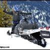 2011-randy-swenson-hugging-sled-web