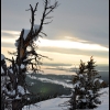 2011-sunset-trees-in-ip-web