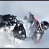 2011-trennis-baer-carves-downhill-in-joss-web