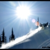 2011-trennis-baer-in-the-sunlit-mtns-web
