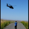 web-edit-steve-and-apache