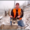 ls09-terry-nice-mulie