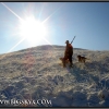 ls1556-pheasant-hunting-web
