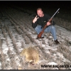 ls1742-porcupine-in-the-north-country-web