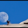 2011-brett-coupal-at-moon-rise-web
