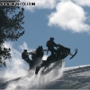 dave_schell_1