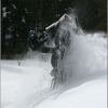 dave_schell_2