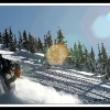 dave_schell_5