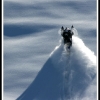 doug_anderson_11