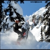 2011-jim-phelan-in-the-trees-in-joss-web