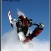 joe_bushilla_15