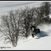 joe_bushilla_17