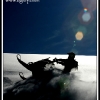 joe_bushilla_4