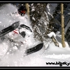 julie_marquart_1