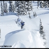 2011-mark-dixson-003-web