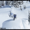 2011-mark-dixson-004-web