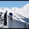 2011-randy-swenson-wheelie-close-up-web