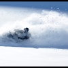 2011-trennis-baer-in-the-powder-in-br-web