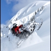 2011-trennis-baer-twilight-wheelie-web